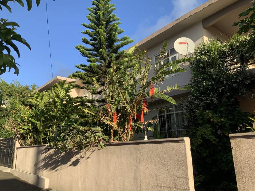 House in Vacoas - 1 - House  on Aster Vender