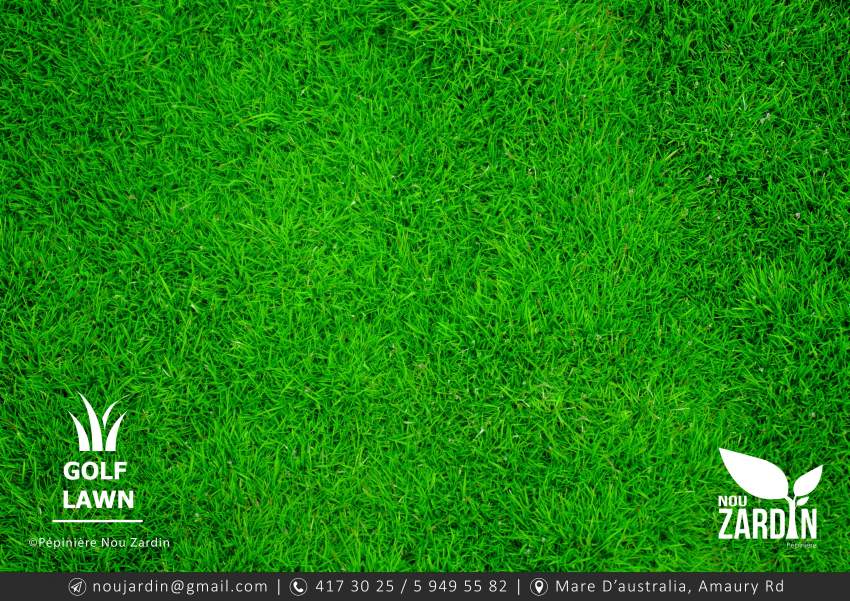 50% Off - Golf Lawn Promo sale - 2 - Plants and Trees  on Aster Vender