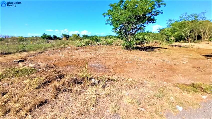 2 Portions of 10.3 Perches Petit Raffray - 2 - Land  on Aster Vender