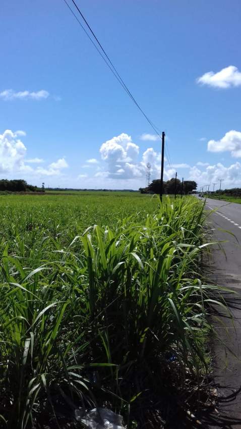 land for sale in Schoenfeld on Aster Vender