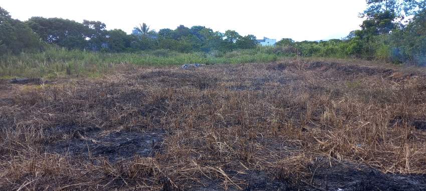 Land For Sale At La Rosa - 0 - Land  on Aster Vender