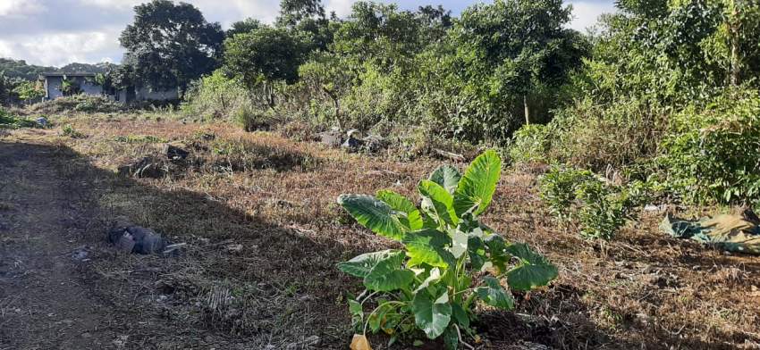 TERRAIN RÉSIDENTIEL À VENDRE - 1 - Land  on Aster Vender