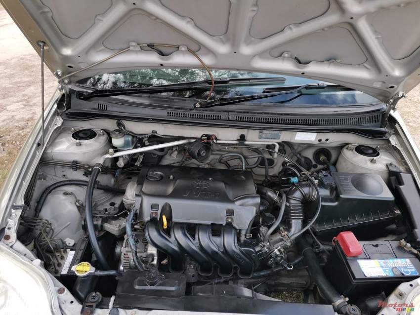 Toyota NZE121 - 0 - Family Cars  on Aster Vender