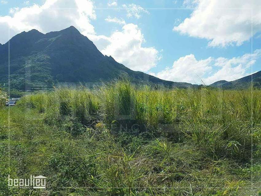 25 perches in Petit verger, St pierre on Aster Vender