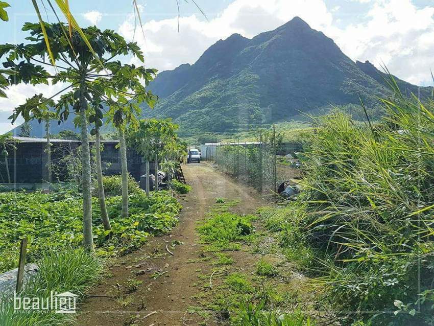 25 perches in  Petit verger, St pierre - 3 - Land  on Aster Vender
