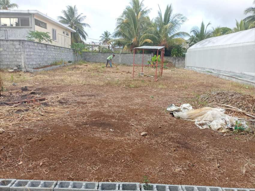 LAND  - 5 - Land  on Aster Vender