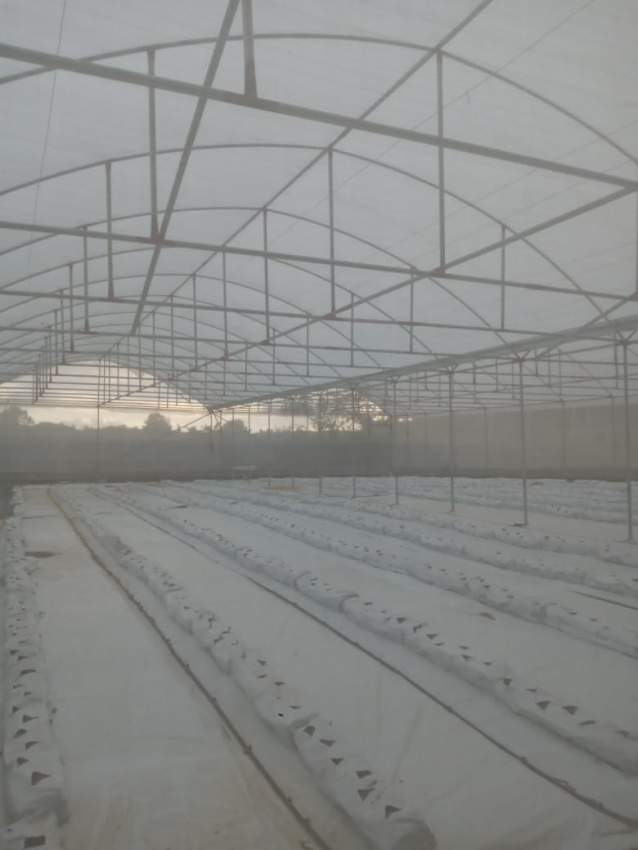 LAND  - 2 - Land  on Aster Vender