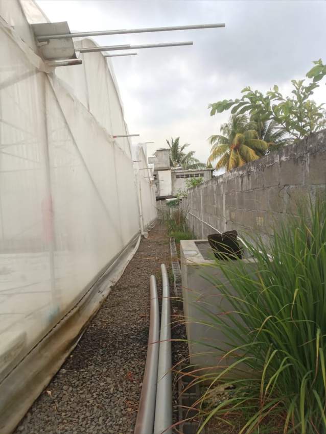 LAND  - 3 - Land  on Aster Vender