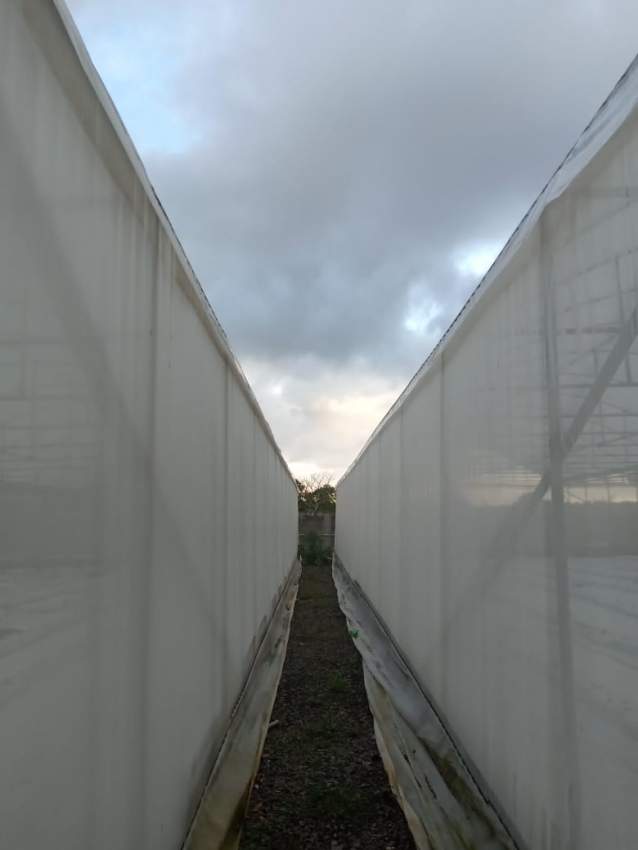 LAND  - 0 - Land  on Aster Vender