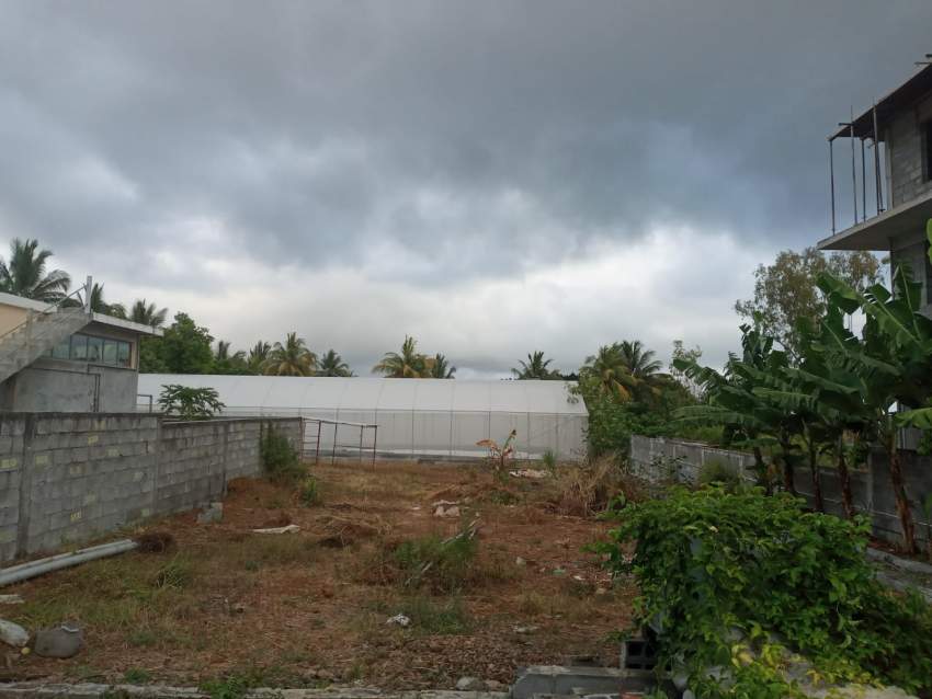 LAND  - 7 - Land  on Aster Vender