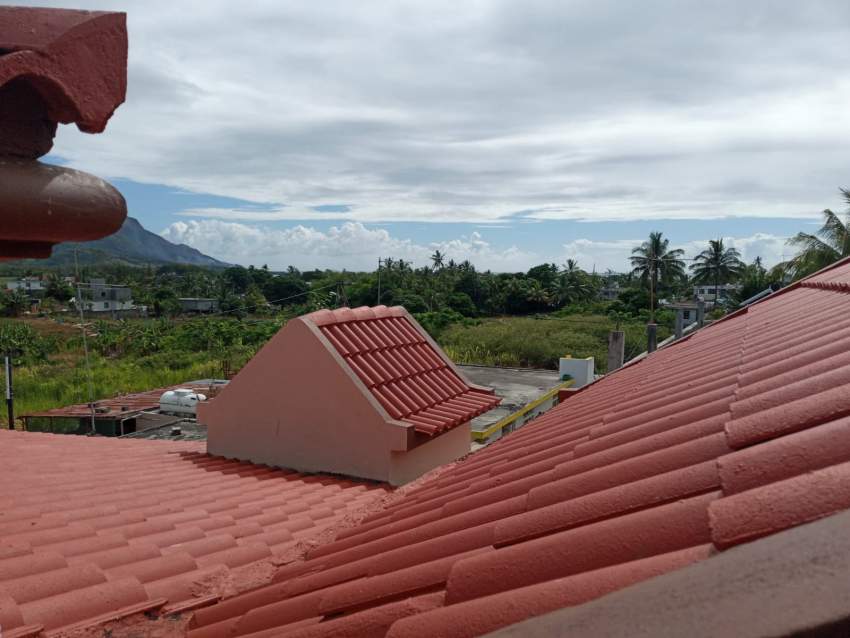 HOUSE FOR SALE DUE TO DEPARTURE - 7 - House  on Aster Vender