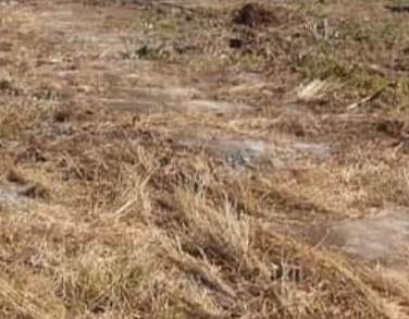 Terrain - 115 toises - morc de chazal, albion - 0 - Land  on Aster Vender