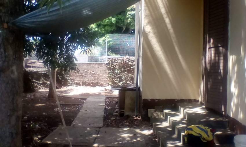 A louer maison de 4 cac sur une route principale à Beau bassin - 4 - House  on Aster Vender