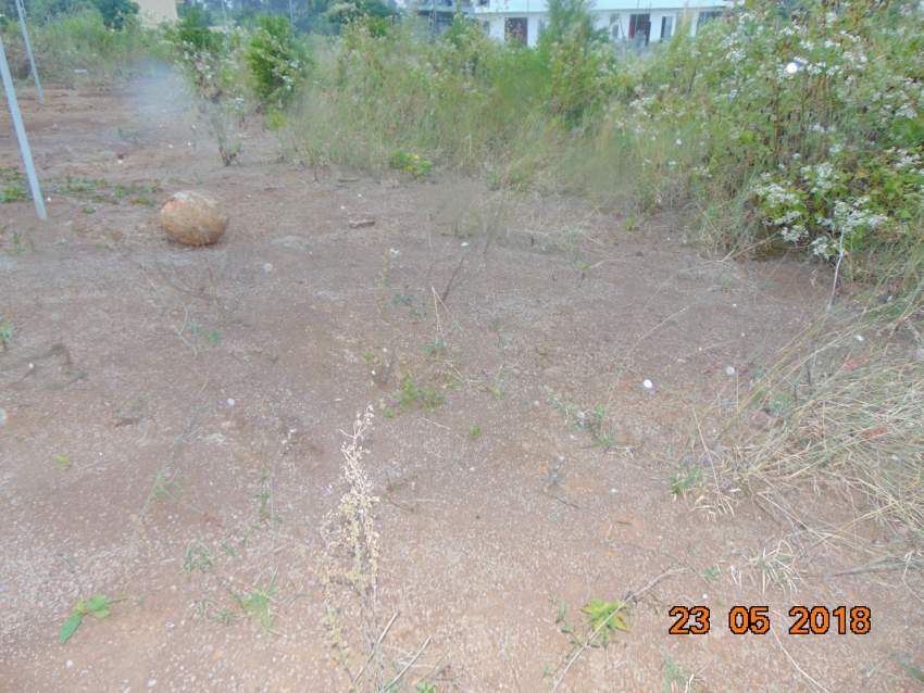 Terrain A vendre  Residentiel 8 perches - 0 - Land  on Aster Vender