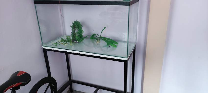 A ceder gratuitement  aquarium 92cmx 38 cm x 48 cm et support  - 0 -  Aquarium fish  on Aster Vender