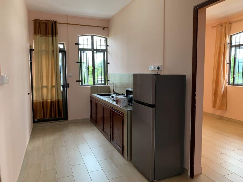 Fully Furnished Apartment on the 1st Floor - 3 - Apartments  on Aster Vender