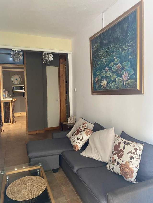 Appartement à louer  - 9 - Apartments  on Aster Vender