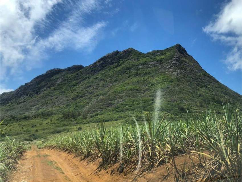 Agricultural Land -3165.65m2- Moka - 4 - Land  on Aster Vender