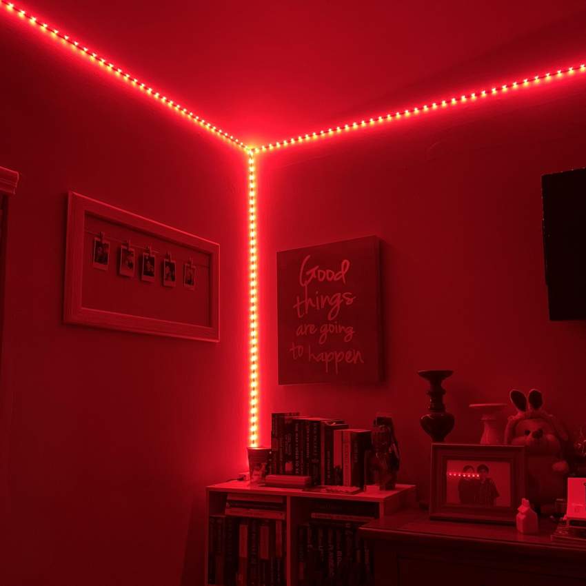Led Strip Light (Red)-10m for Rs 350
