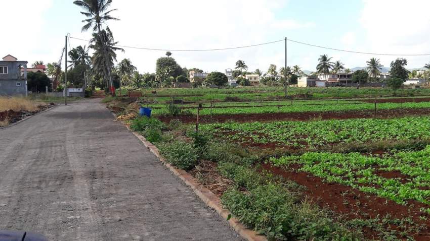 new morcellement at Terre rouge ( morc peerun) on Aster Vender