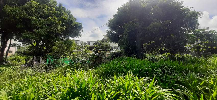 Terrain - 6 - Land  on Aster Vender