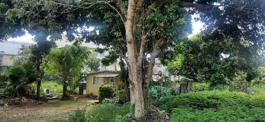 Terrain - 0 - Land  on Aster Vender