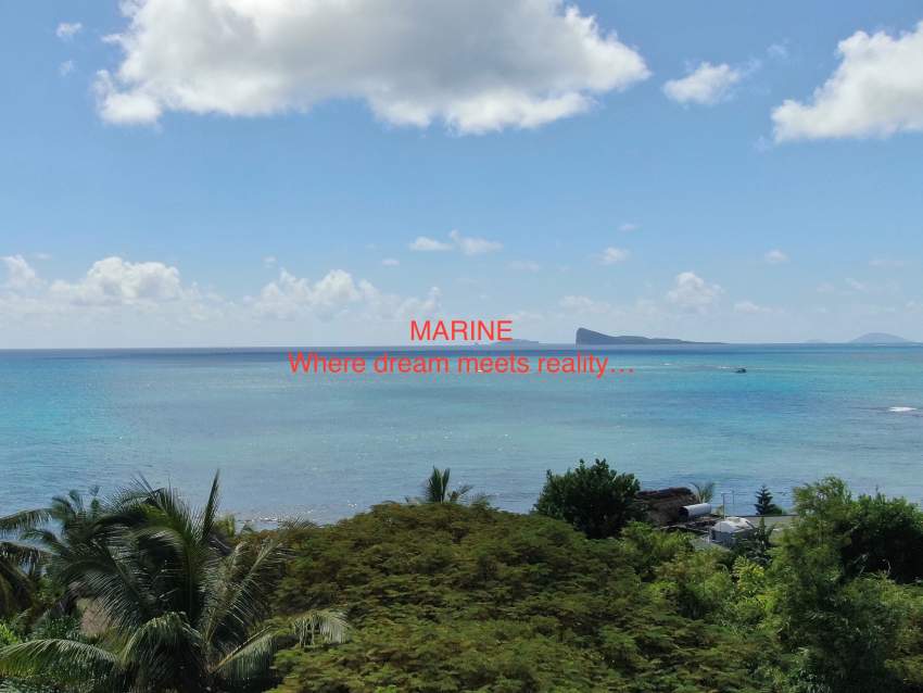 (Ref. MA7-618) Appartement unique et à votre image - 4 - Apartments  on Aster Vender