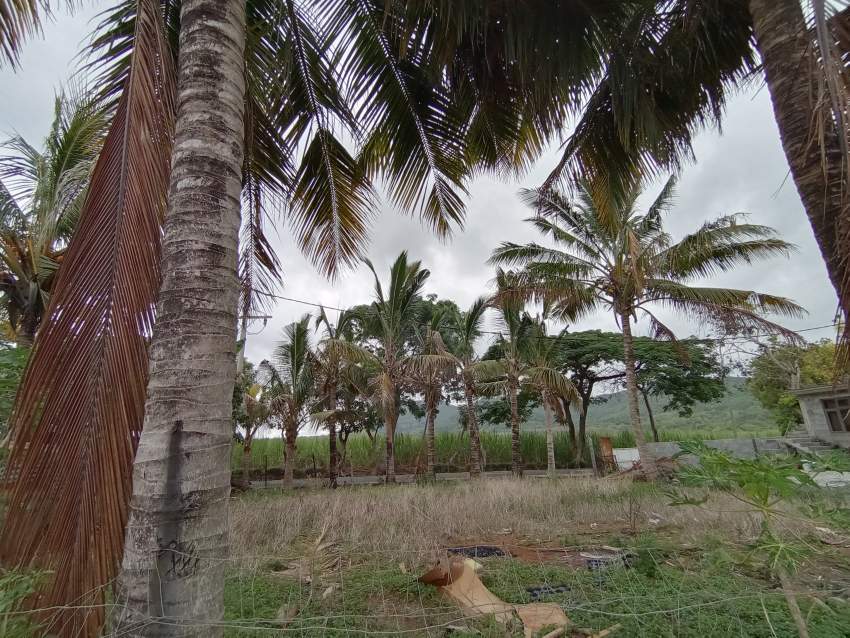 LAND FOR SALE - 0 - Events  on Aster Vender