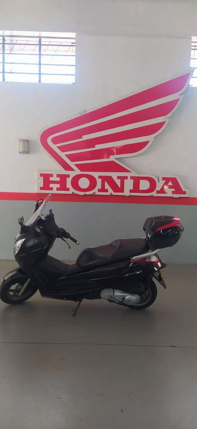 Honda Silver Wing FES 125 - 3 - Scooters (above 50cc)  on Aster Vender
