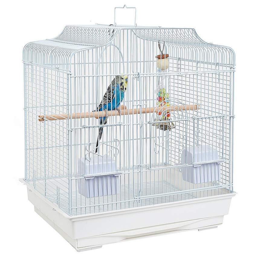 Cages and bird for sale - 0 - Others  on Aster Vender