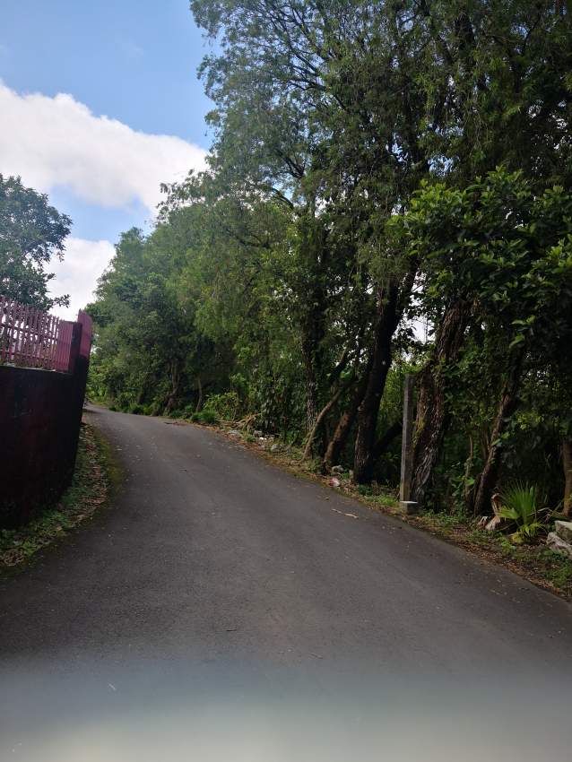 House for sale in Forest Side(16mille) - 5 - House  on Aster Vender