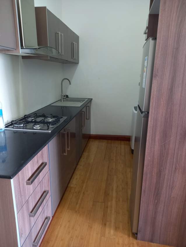 One bed luxurious Apartment - 8 - Apartments  on Aster Vender