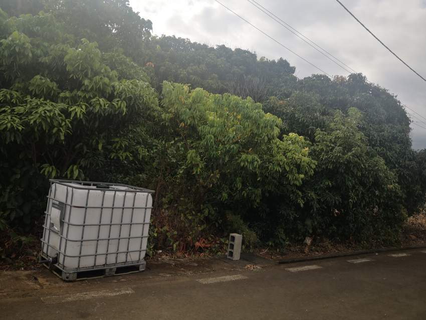 Land for Sale Britannia - 0 - Land  on Aster Vender