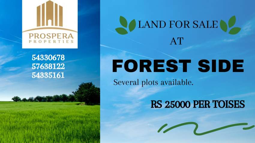 LANDS FOR SALE  - 0 - House  on Aster Vender