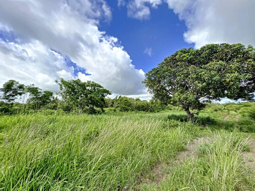 (Ref. MA7-624) Grand terrain résidentiel - 1 - Land  on Aster Vender