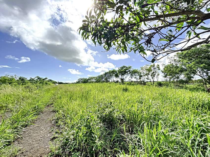 (Ref. MA7-624) Grand terrain résidentiel - 2 - Land  on Aster Vender