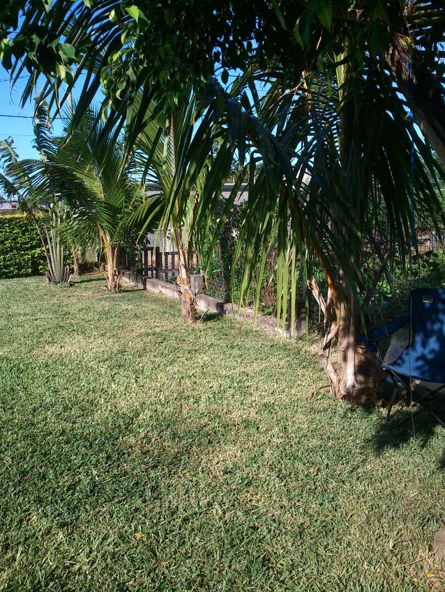 maison a louer on Aster Vender