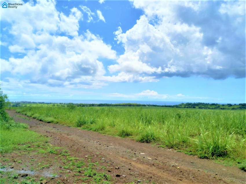 11.6 Perches for sales in Roche Brunes - 4 - Land  on Aster Vender