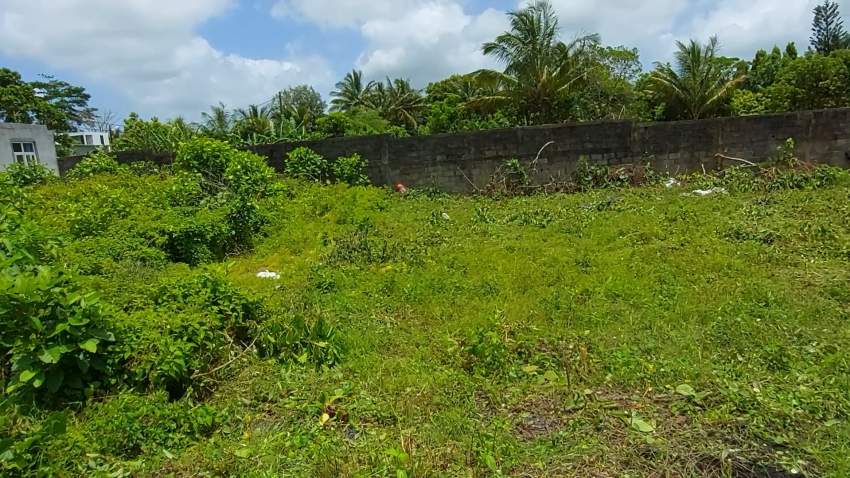 Land for sale at camp de masque 6.5 perche 1.1 neg - 0 - Land  on Aster Vender