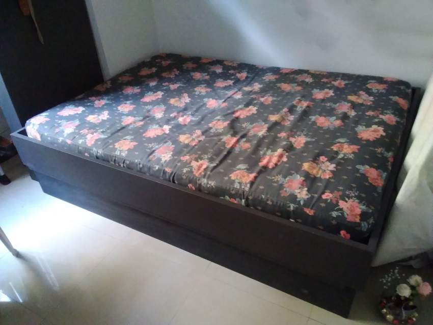 For Sales Luxury Bed with Free Mattress - 0 - Bedroom Furnitures  on Aster Vender