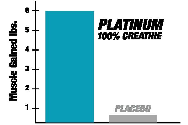 Muscletech Creatine PLATINUM  - 1 - Nutrition supplements  on Aster Vender