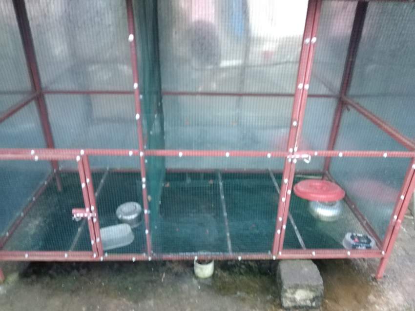 Cage for animal - 0 - All household appliances  on Aster Vender