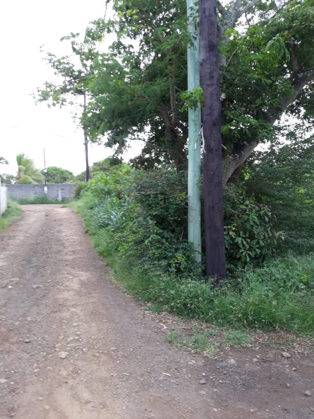 Land for sale Grand Baie  - 6 - Land  on Aster Vender