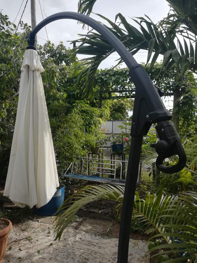 Parasol de jardin - 0 - Plants and Trees  on Aster Vender