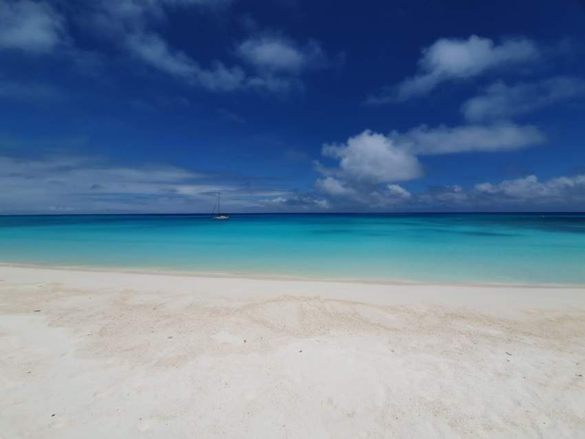 33 Foot (10.2 Metres) Bi-Loup 90 Sailing yacht for Sale - 2 - Boats  on Aster Vender