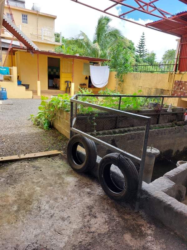 HOUSE FOR SALE - 5 - House  on Aster Vender