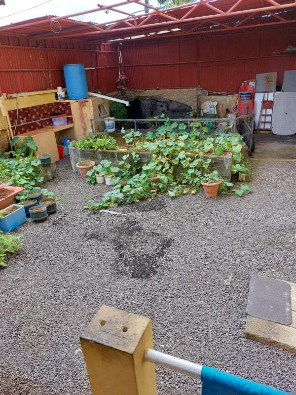 HOUSE FOR SALE - 3 - House  on Aster Vender