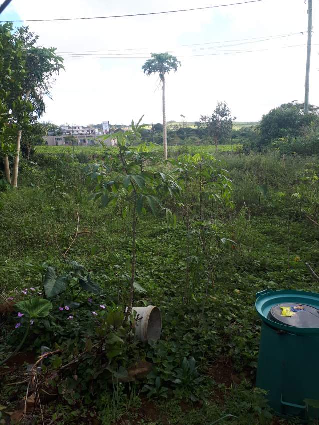 Residential land for sale on Aster Vender