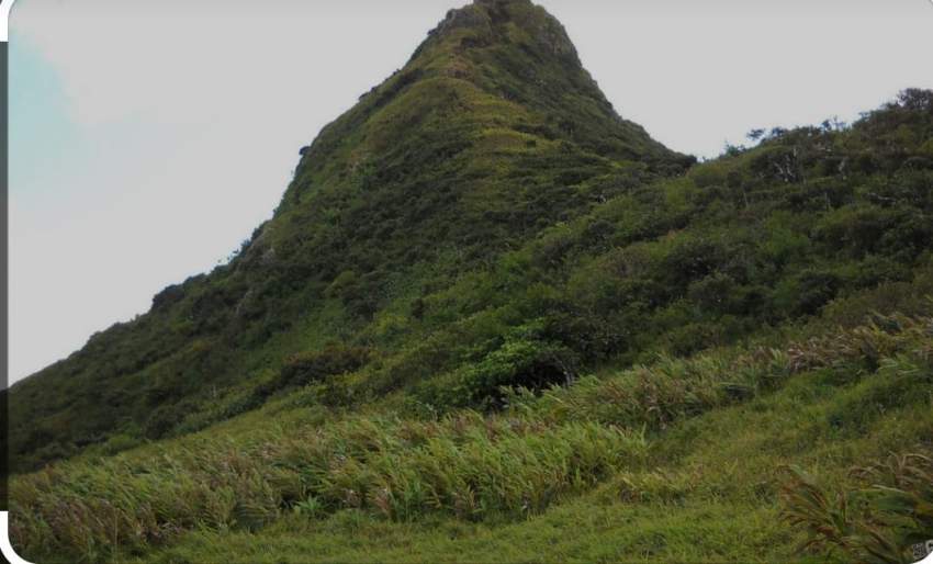 Agricultural Land for sale  - 0 - Land  on Aster Vender