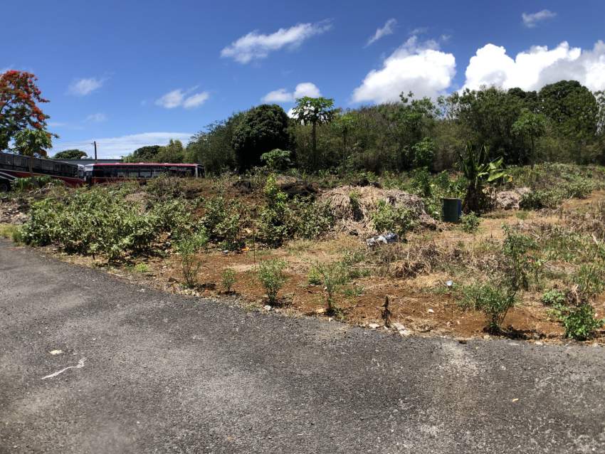 Residential Land 25 Poles – Quatre Cocos - 0 - Land  on Aster Vender